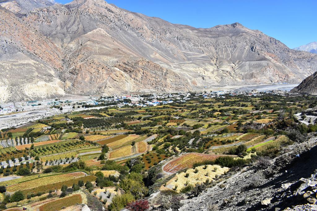 मुस्ताङमा दुर्घटनामा परी निर्वाचनमा खटिएका एक कर्मचारीको मृत्यु