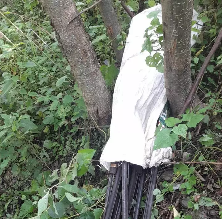 जंगलमा लुकाइएको ८ थान भरुवा बन्दुक बरामद